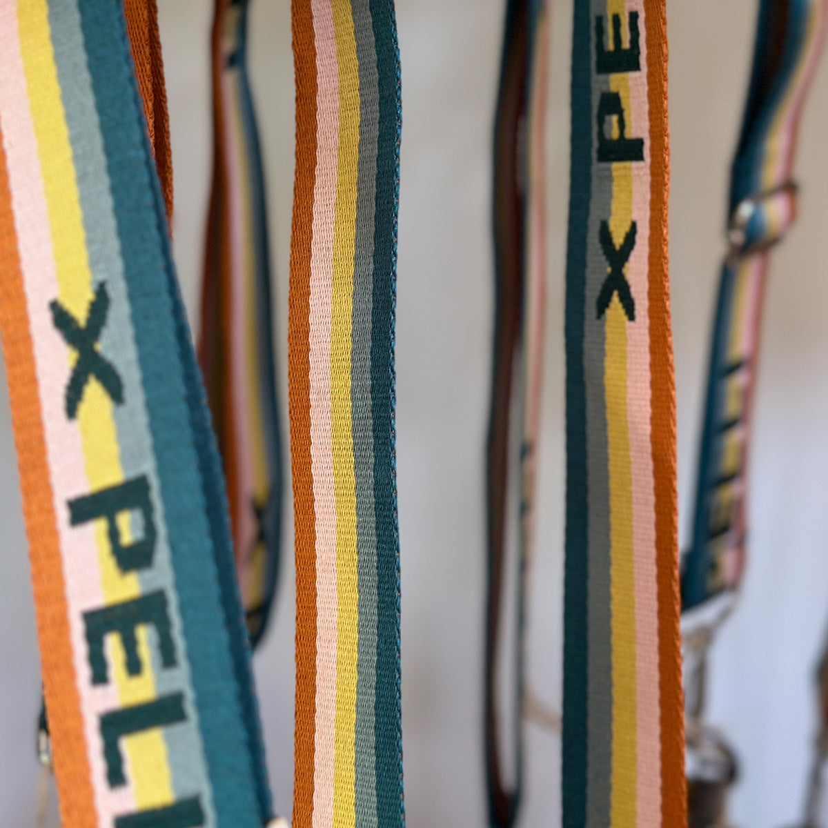 Chasing Rainbows - Commemorative Strap